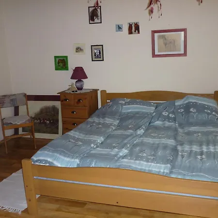 Apartment Falusi Vendeghaz *