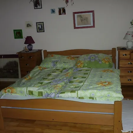 Apartment Falusi Vendeghaz
